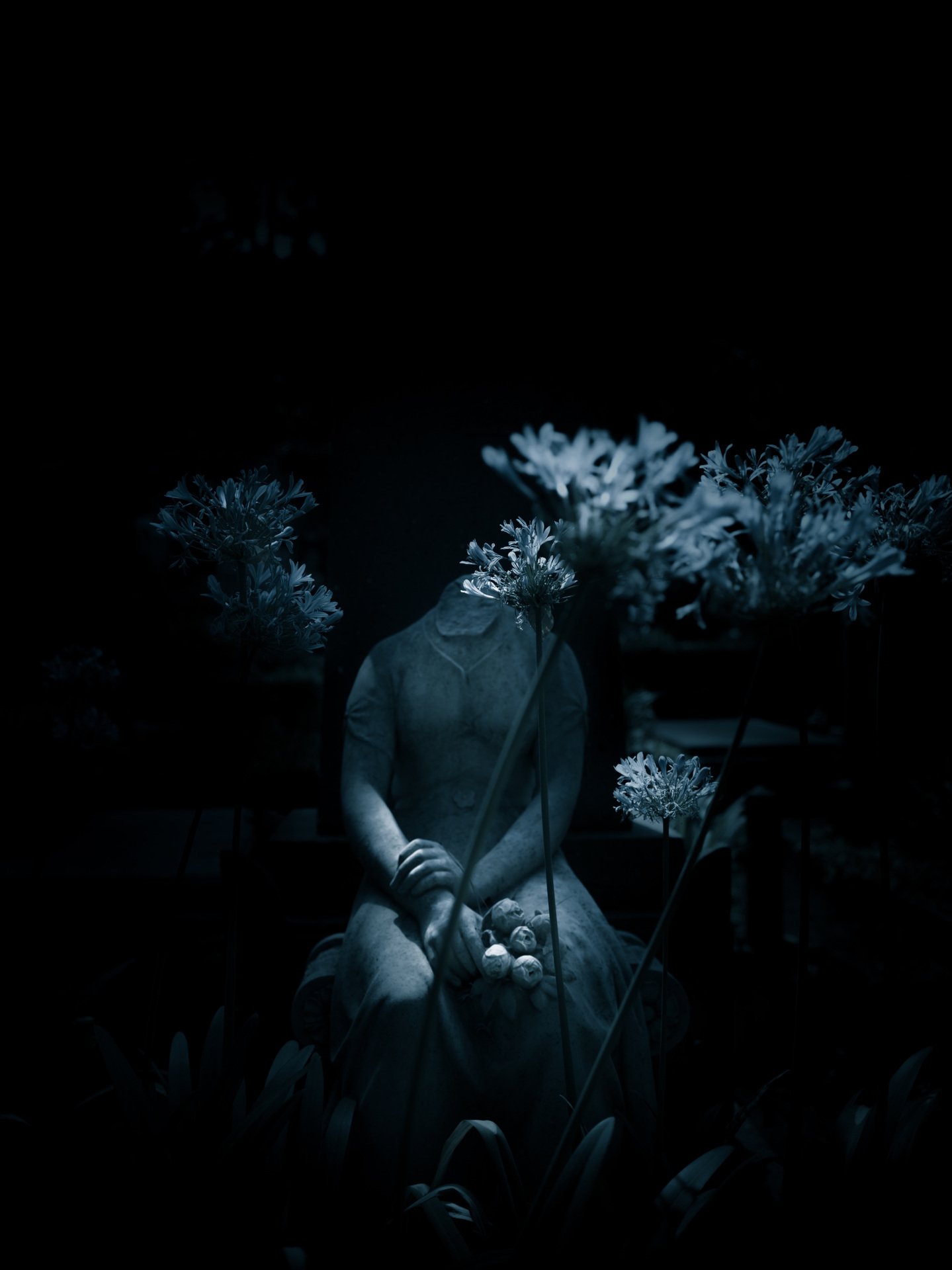 Photograph from GRAVEYARD THOUGHTS
